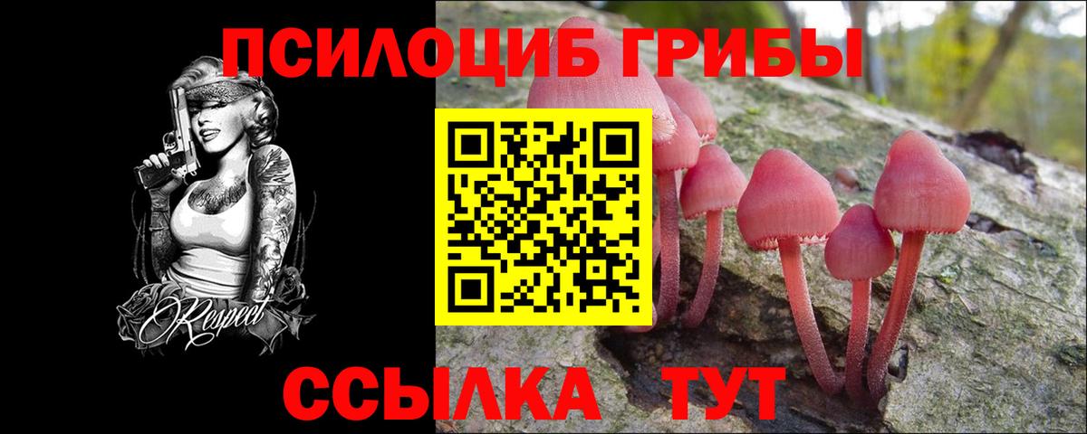 Галлюциногенные грибы мухоморы  Вход с VPN  Псилоцибиновые грибы Psilocybe  Новозыбков 