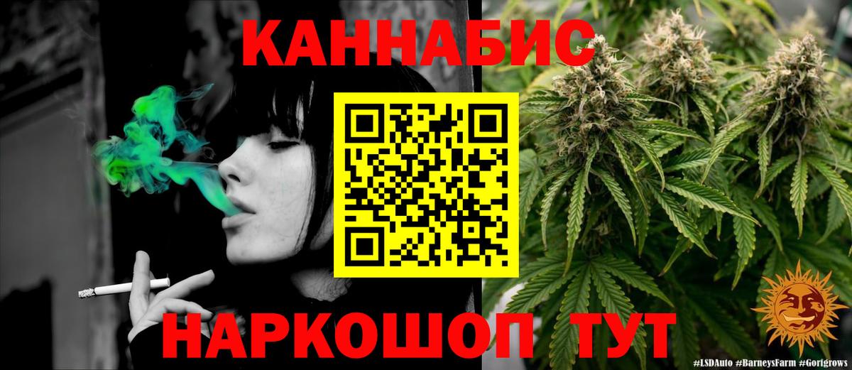 МАРИХУАНА VHQ  МАРИХУАНА конопля  Новозыбков  Вход с VPN  МАРИХУАНА LSD WEED 